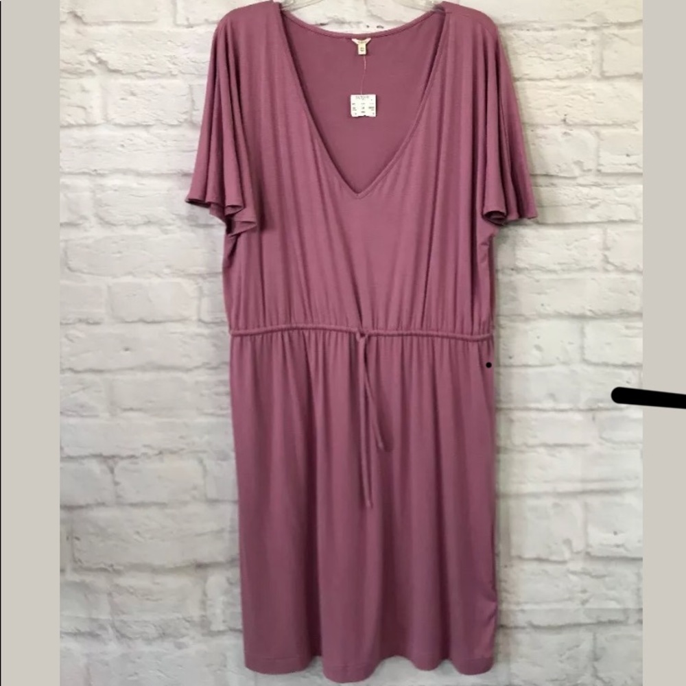 J.Crew dress XL